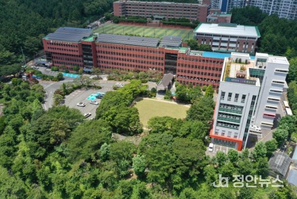 부산시교육청