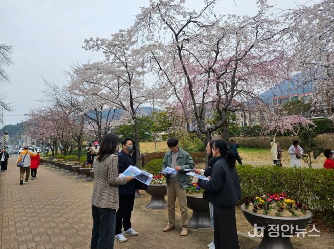 진해군항제 앞두고 불법영업행위 단속 TF팀 현장 사전점검 실시