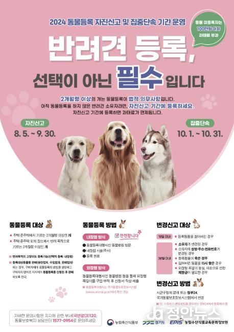 광주시, 9월30일까지 동물등록 자진신고 기간 운영