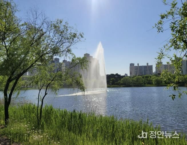 부천시 상동호수공원이 산림청에서 주관한 ‘아름다운 도시숲 50선’에 선정됐다.