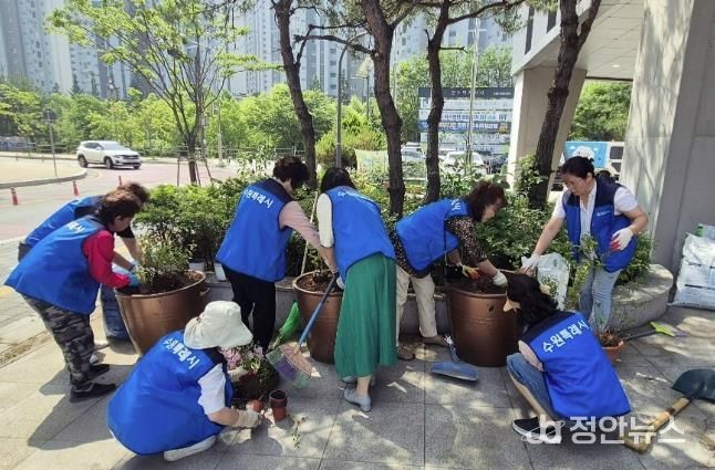 수원시 권선구 금곡동, 행정복지센터 부지 손바닥정원 조성