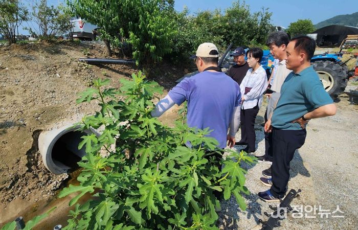 충남도, 장마 대비 농작물 피해 예방 현장점검