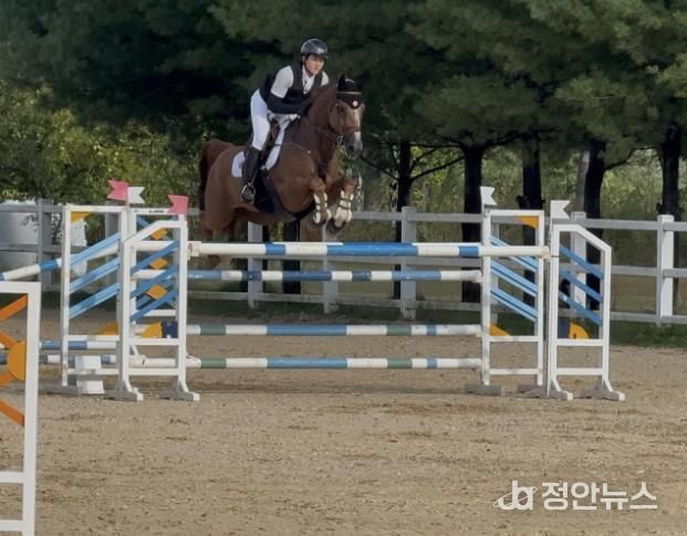 광주광역시승마협회 소속 이정우(광주고)가 장애물 경기를 펼치고 있다.