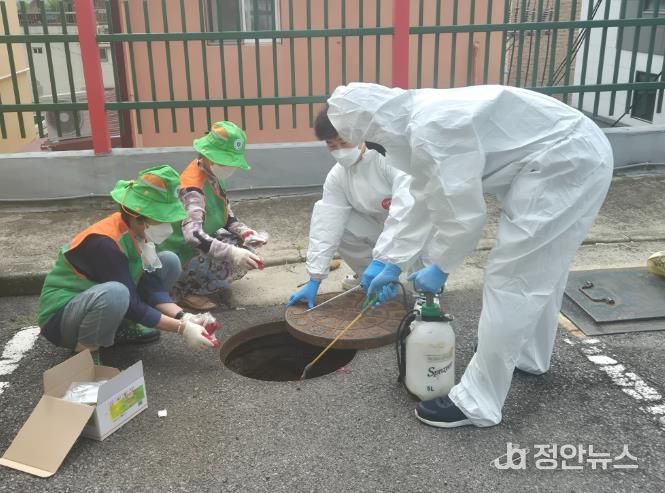 광주광역시 남구, 환절기 틈타 기승 ‘가을 모기 제거’