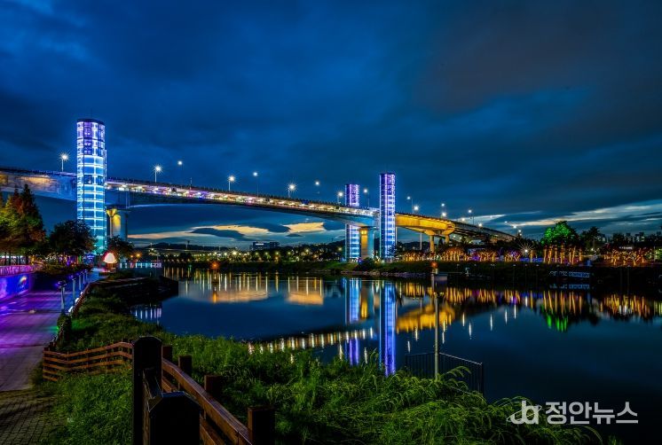 계양의 밤을 빛으로 물들이다! ‘계양아라온 아트웨이’ 화려한 개막