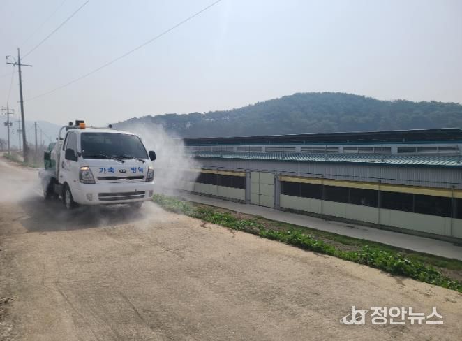 광주광역시, 10월부터 AI 특별방역대책 시행