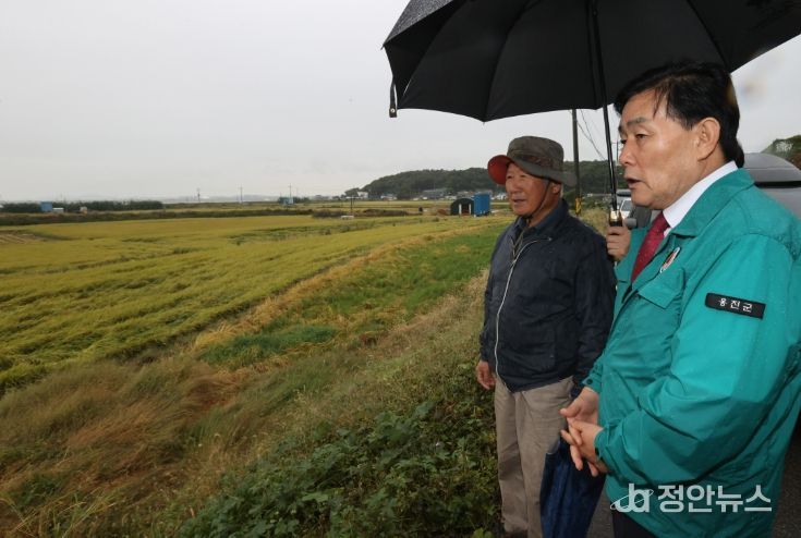 벼 도복 피해 현장 방문, 피해 최소화에 총력