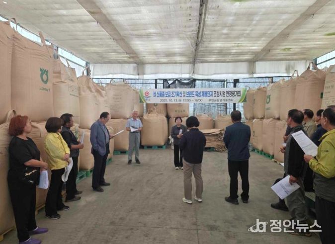 벼 신품종 조기확산‧브랜드 육성 재배단지 조성시범 현장평가회