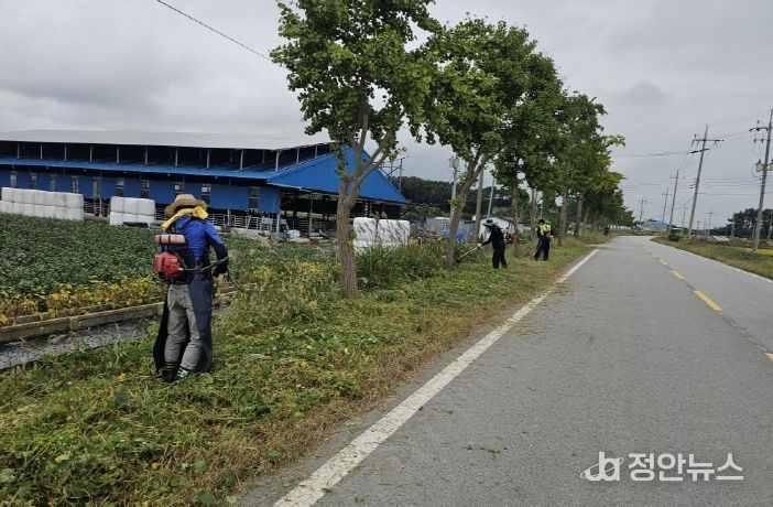 부안군, 가을철 도로 정비 박차