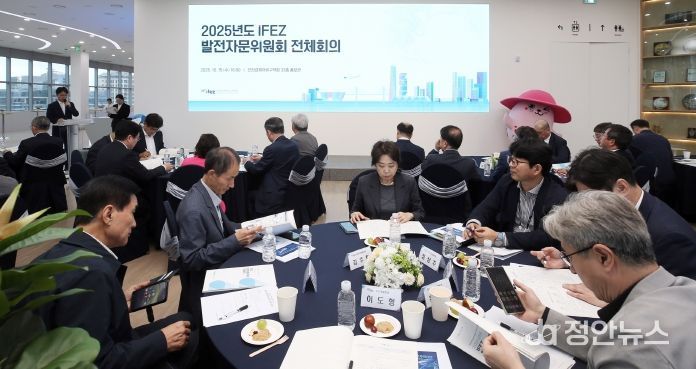 발전자문위원회