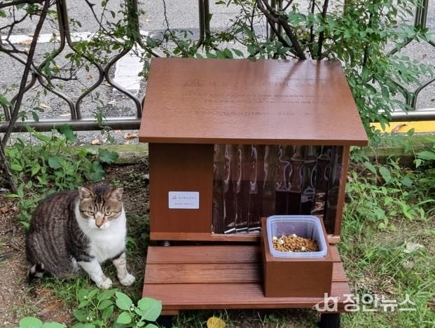 길고양이 공식급식소 변경 후
