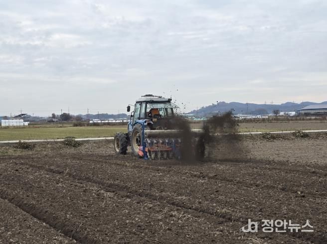 군산시, 맥류 적기 파종과 종자 소독 당부