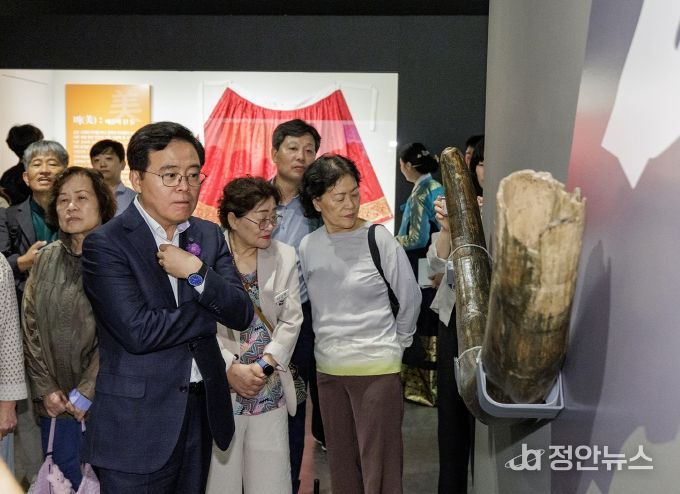 진교훈 서울 강서구청장(맨 앞)이 ‘돌멩이 약방, 약이 되는 돌 이야기’ 특별전에 참석해 전시품을 살펴보고 있다.