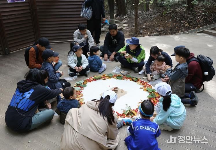 대모산 유아숲 가족 축제