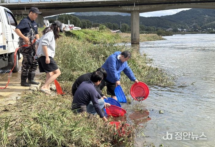 대농갱이 치어 6만 2천 마리 방류(탄금호에서 방류)