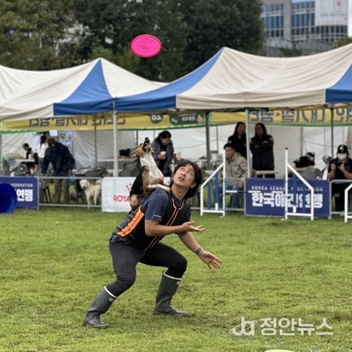 익산시, 반려동물과 함께하는 축제의 장 열려