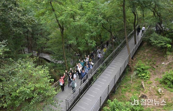 홈즈리더 남산자락숲길 산책