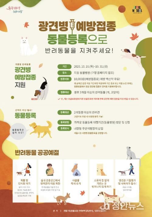 2025년 마포구 가을철 광견병 예방접종 홍보 포스터