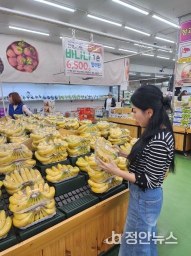 “도민 밥상, 더 안전하게” 전북보건환경연구원, 수입 농산물 검사 실시