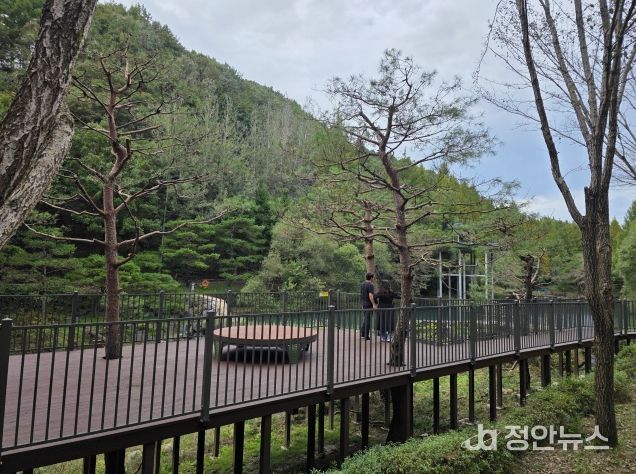 미동산수목원, 장미·야생화가 어우러진 명소 확대 조성(생태탐방로)