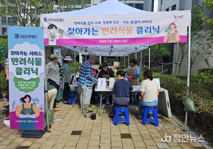 동대문구 찾아가는 반려식물 클리닉 운영 모습