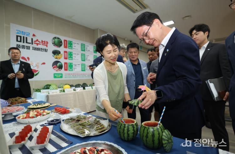 고창 미니수박 평가회