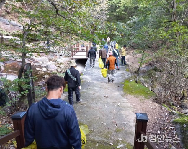 영동군, 물한계곡서 산사태·산불 예방 및 산지 정화 캠페인