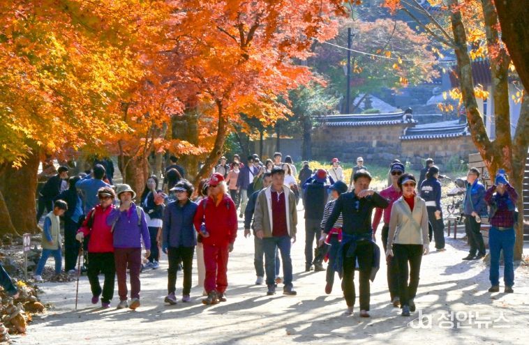 강천산군립공원, 10월 24일부터 가을 성수기 운영 시작