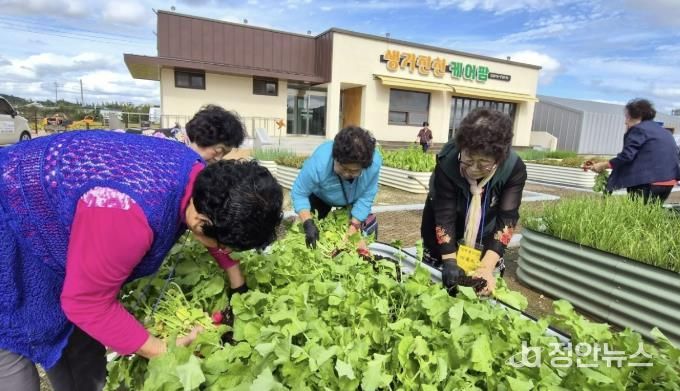 프로그램 운영 사진