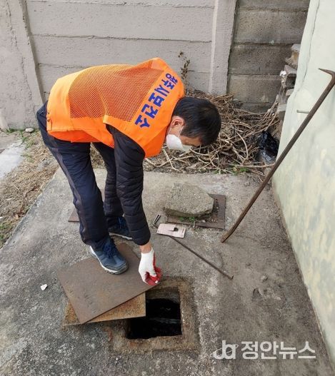 청주시 보건소, 동절기 모기 유충 방제 사업 추진