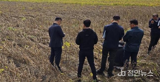 괴산군 관계자들이 농작물 피해 현황을 조사하고 있다