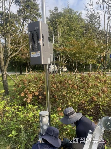 해충 퇴치를 위해 친환경 포충기를 설치하고 있다