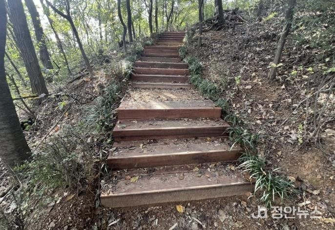 서대문구가 8∼10월 시행한 관내 궁동산 등산로 정비 후 모습