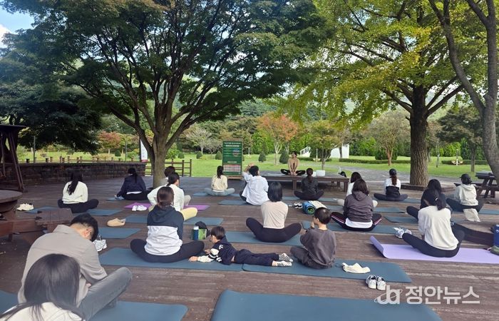 ‘단풍’ 넘어 ‘웰니스’로…2025 정읍 웰니스페스타, 300명 러너와 성황리 폐막