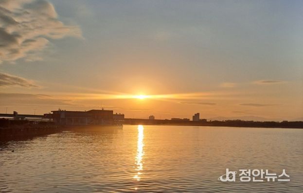낙동강 생태탐방선에서 바라본 일몰