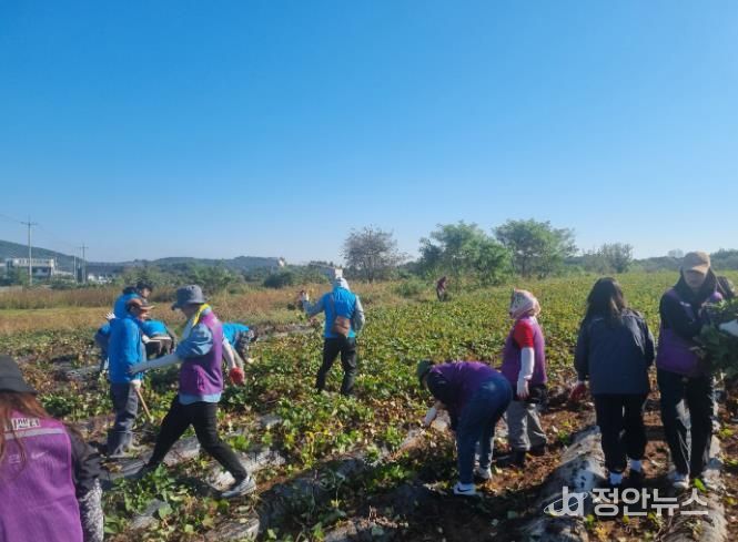 “연수구·ESG 원팀, 농가와 손 맞잡다”