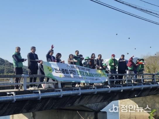 대흥면 EM 흙공 던지기 행사 모습