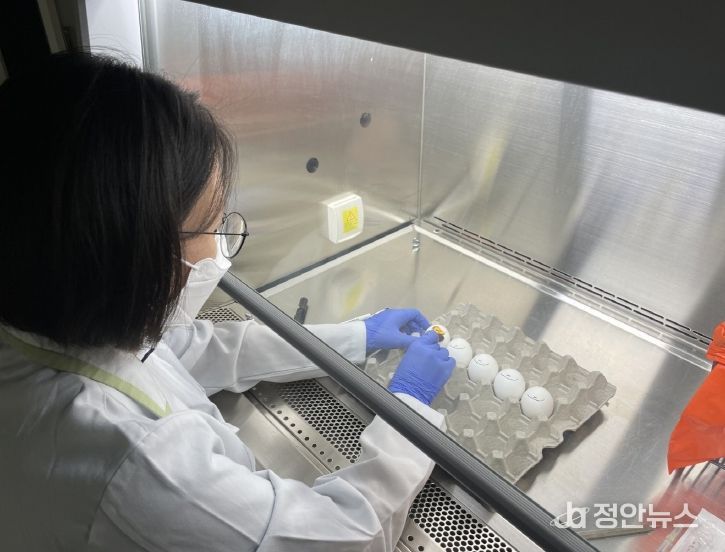 방역대책상황실 가동 및 가금류 검사 강화