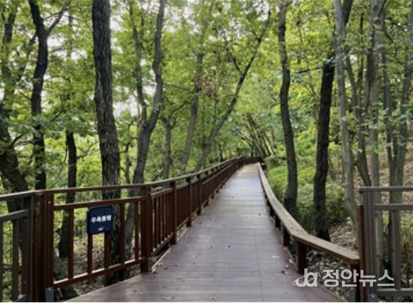 ‘서리풀공원 무장애숲길 연결로’ 조성