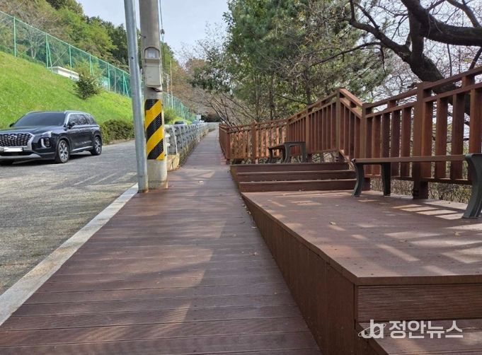 공중 목재데크길 조성완료