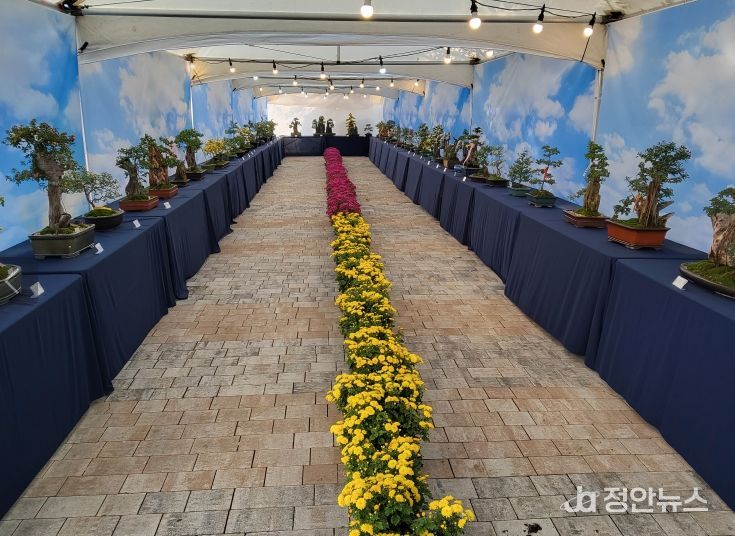 농기원, 아산 지중해마을서 31일부터 7일간 작품전시회