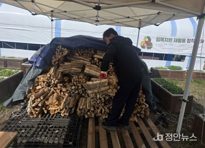 연수구시설안전관리공단, ‘임목자원 재활용 장작 나눔’으로 ESG 실천