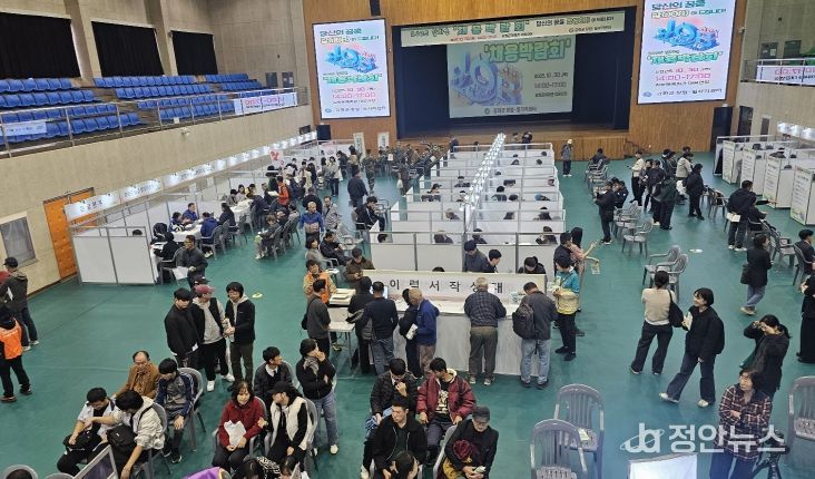 일자리센터, 꿈을 잡(JOB)아 드립니다…2025 강화군 채용박람회 성료