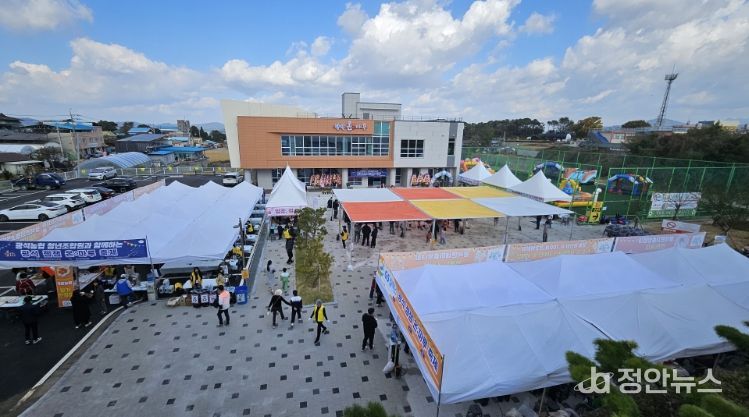 젬잼온마루 축제