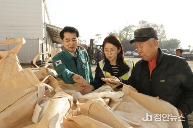보은군, 2025년산 공공비축미곡 건조벼 1,078톤 매입
