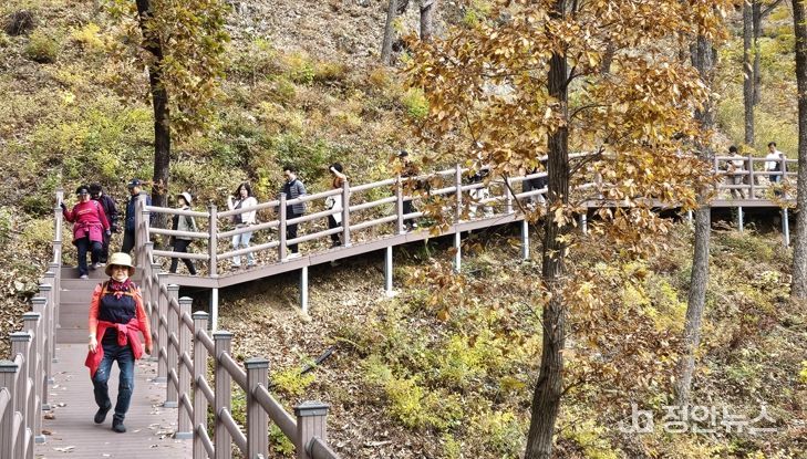 보은군, 단풍길 따라 힐링걷기‘속리산 둘레길 걷기 축제’ 성황리 마무리