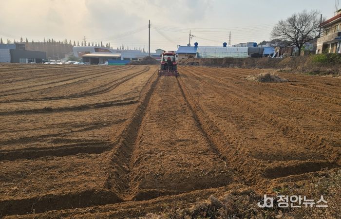 ‘늦파종’ 대비 밀·보리 재배관리 기술법 안내