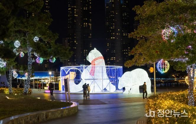 부산 서구 ‘희망의 빛거리’ 14일 점등식