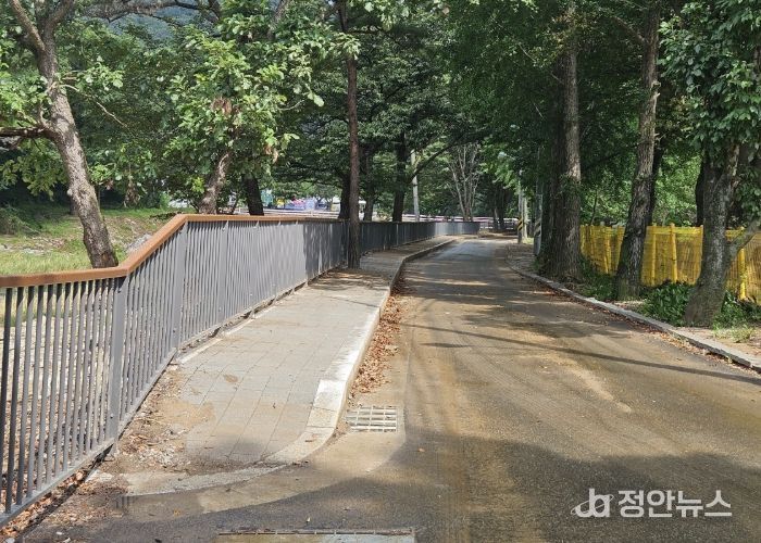 삼상리 취약계층 도로정비사업