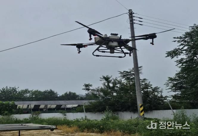 보은군, ASF 선제적 방역 위해 드론을 통한 야생동물 기피제 살포